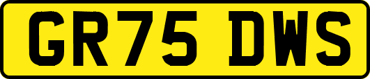 GR75DWS