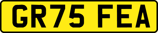 GR75FEA