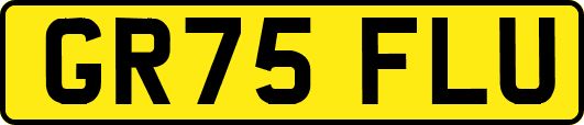 GR75FLU
