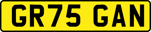 GR75GAN
