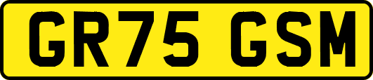 GR75GSM