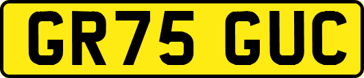 GR75GUC