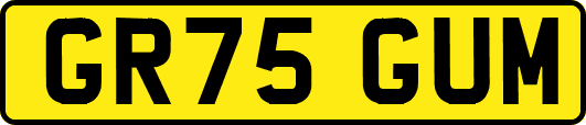 GR75GUM
