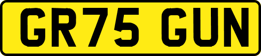 GR75GUN