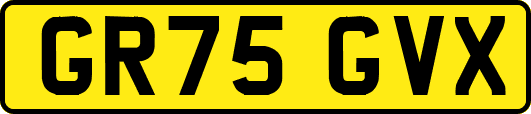 GR75GVX