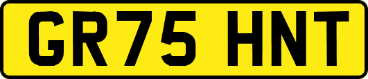 GR75HNT