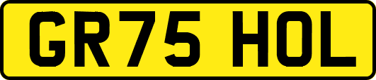 GR75HOL