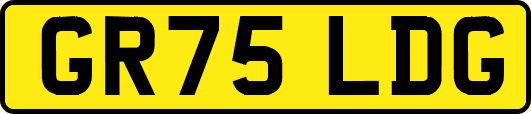 GR75LDG
