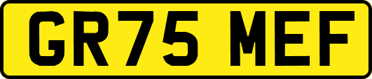 GR75MEF
