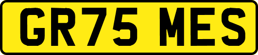 GR75MES