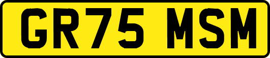 GR75MSM