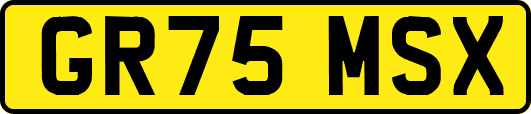 GR75MSX