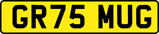 GR75MUG