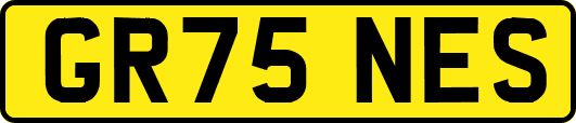 GR75NES