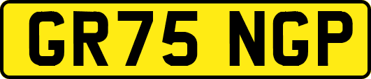 GR75NGP