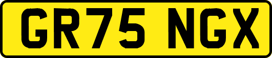 GR75NGX