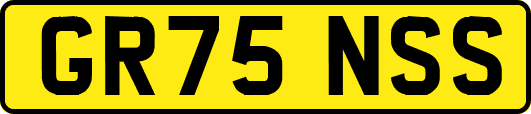 GR75NSS