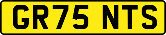GR75NTS