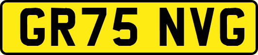 GR75NVG