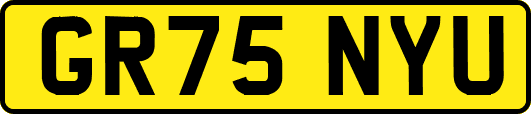 GR75NYU