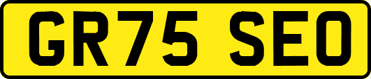 GR75SEO