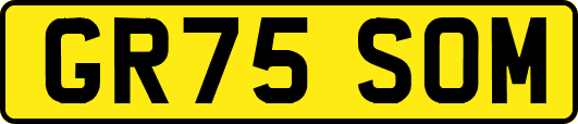 GR75SOM