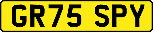 GR75SPY