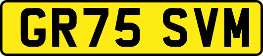 GR75SVM
