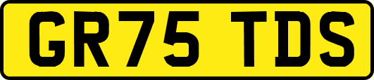 GR75TDS