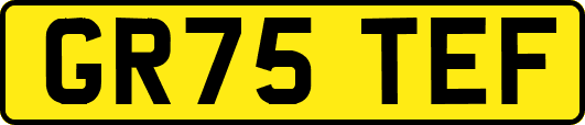 GR75TEF