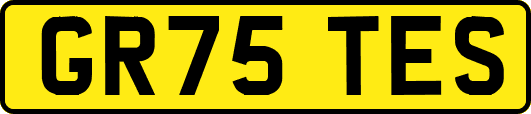 GR75TES
