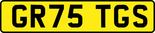 GR75TGS