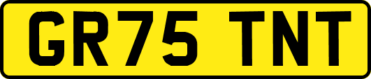 GR75TNT