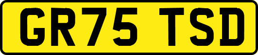 GR75TSD