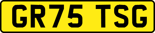 GR75TSG