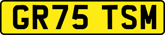 GR75TSM