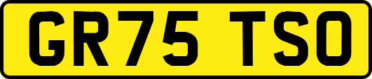 GR75TSO