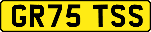 GR75TSS
