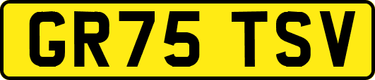 GR75TSV