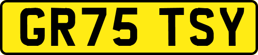GR75TSY