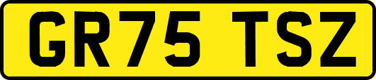 GR75TSZ