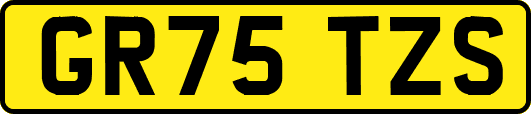 GR75TZS
