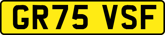 GR75VSF