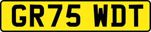 GR75WDT