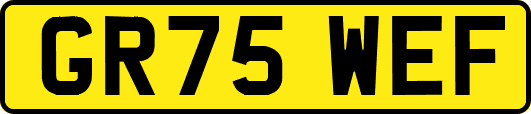 GR75WEF