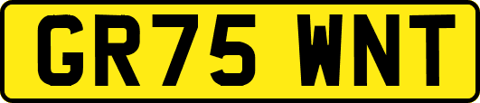 GR75WNT