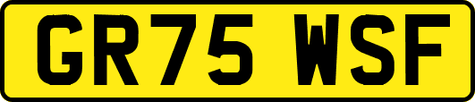 GR75WSF