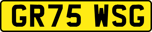 GR75WSG
