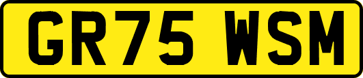 GR75WSM