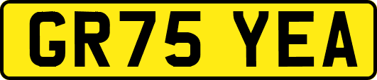 GR75YEA